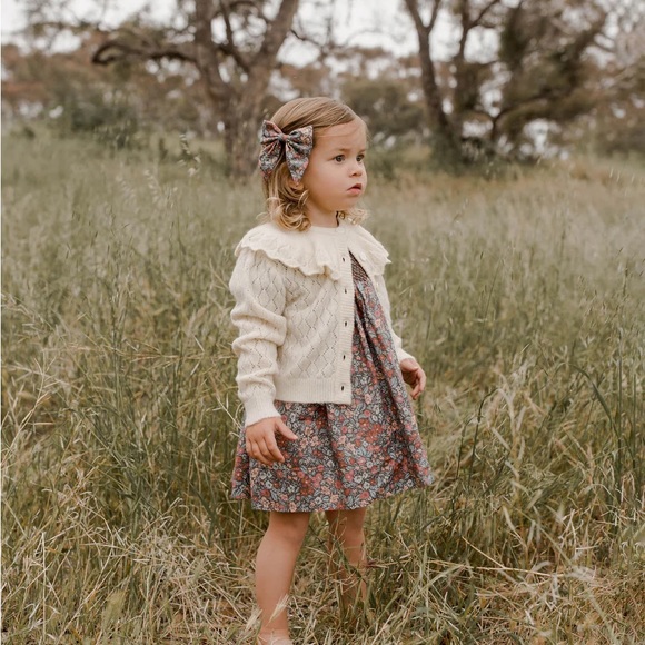 Noralee Daphne Dress Berry Garden - Picture 3 of 5